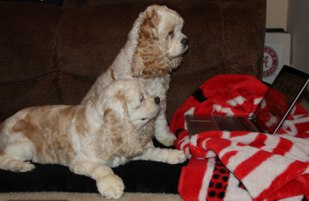 Rhona and Willow