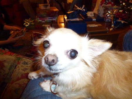 Lucy