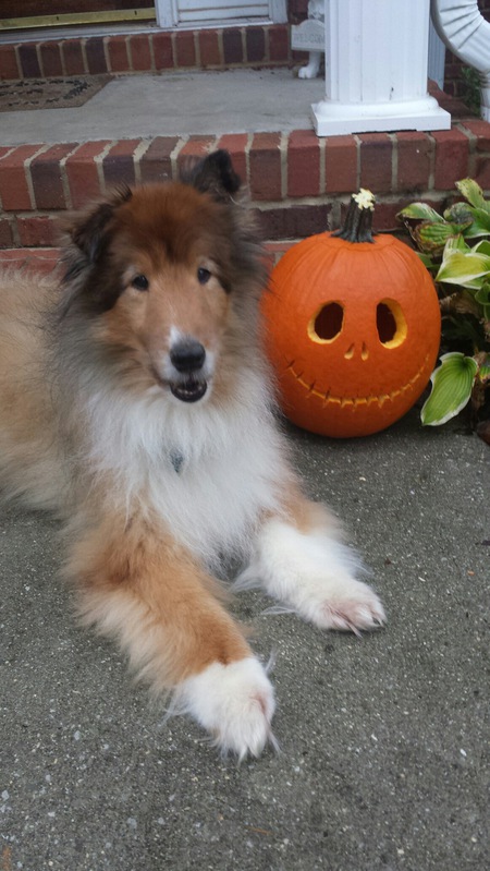 Cody