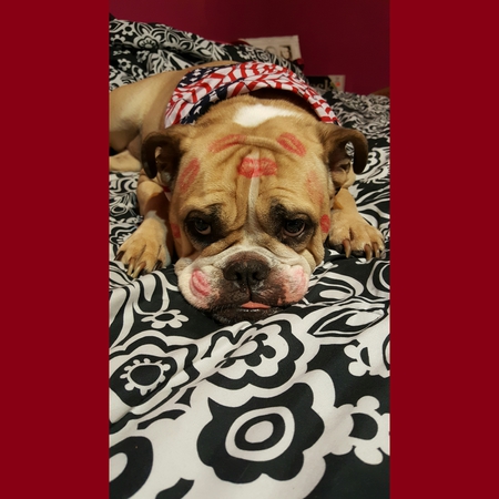 Maggie May Wiegand