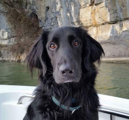 Tucker