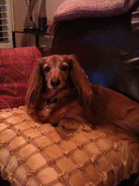 Rosie