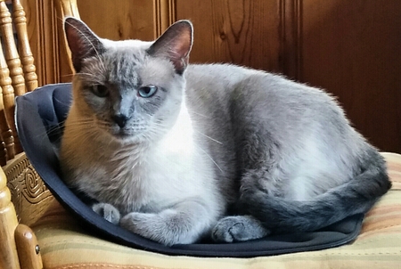 Sophie Blue