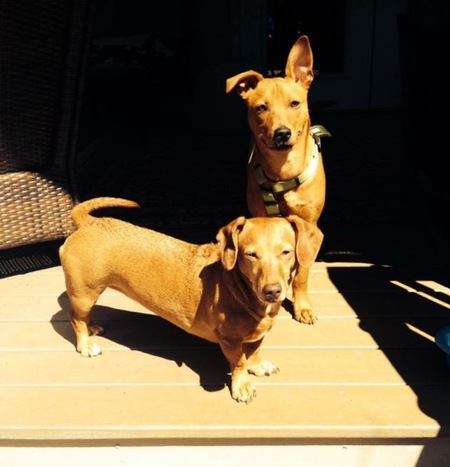 Bo and Etta
