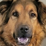 Entry image for Zoey Brooke