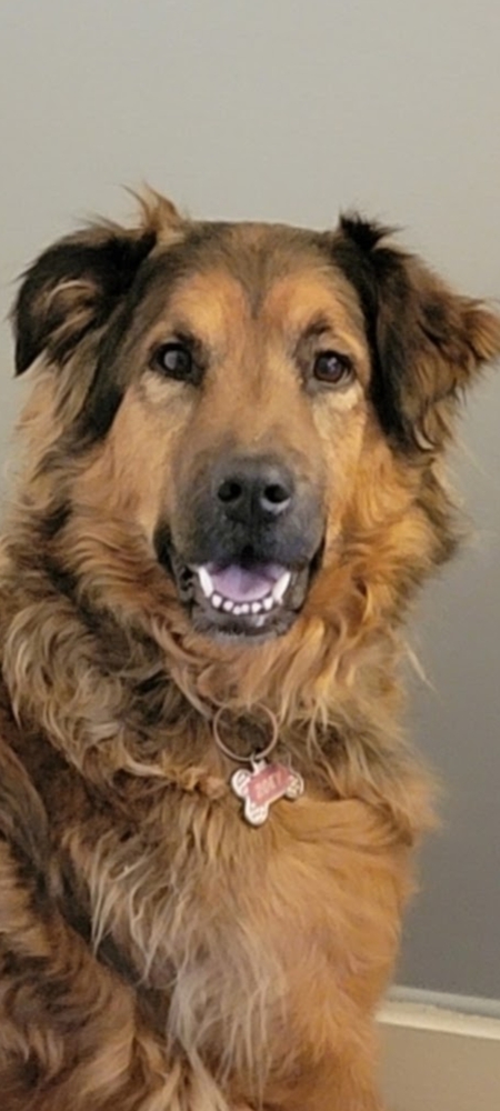 Entry image for Zoey Brooke. Clicking this image will show a larger photo