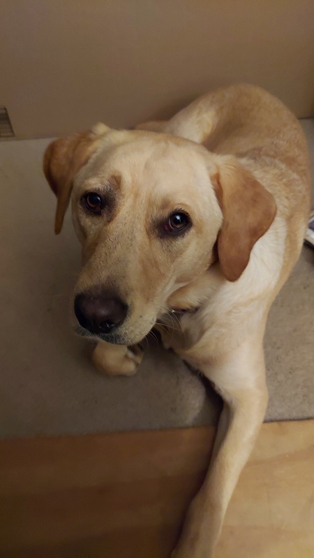 Entry image for Livvy. Clicking this image will show a larger photo