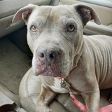 Entry image for Valley