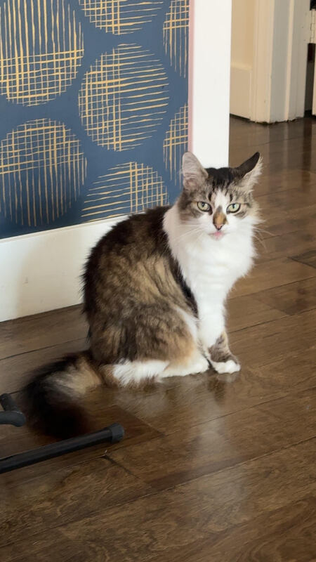 Smudge
