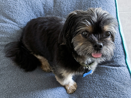 Entry image for Busey. Clicking this image will show a larger photo