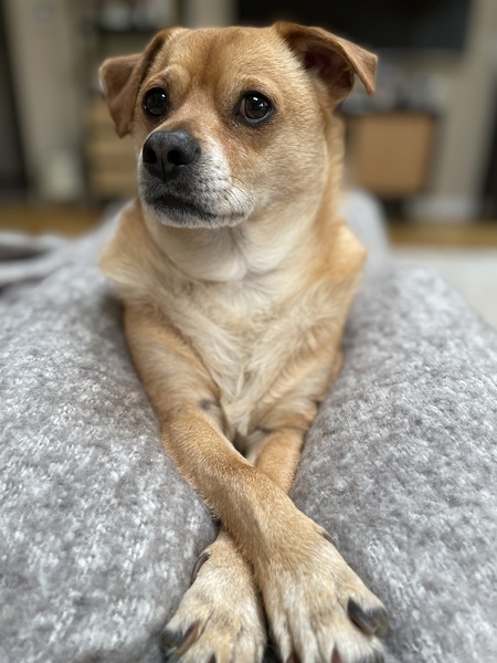 Charlie 