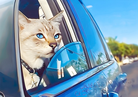 Pip