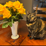 Entry image for Hazel