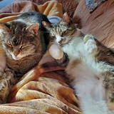 Entry image for GraceLynn and Bicky