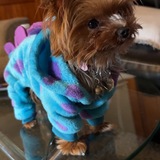 Entry image for Harlee