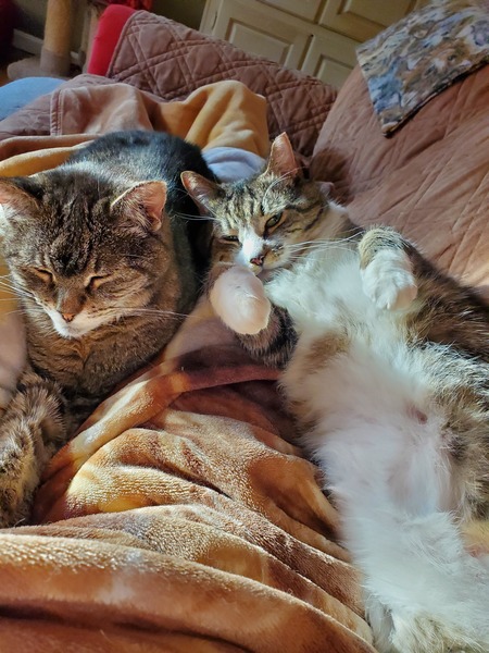 Entry image for GraceLynn and Bicky. Clicking this image will show a larger photo