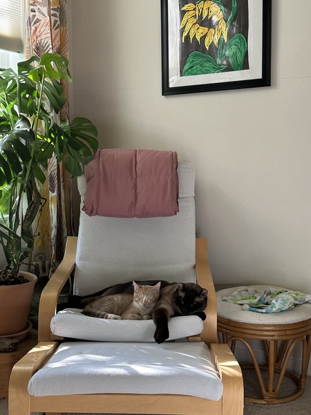 Entry image for Tully & Toast. Clicking this image will show a larger photo