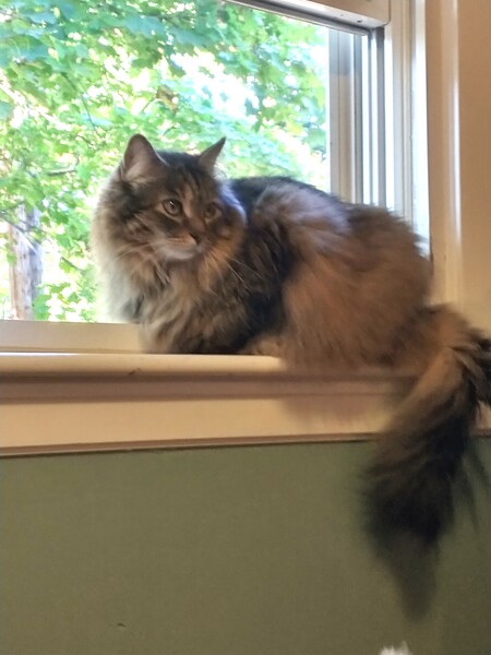 Entry image for Tucker. Clicking this image will show a larger photo