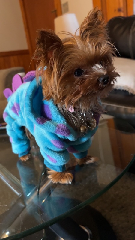 Entry image for Harlee. Clicking this image will show a larger photo