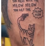 Entry image for Don’t mess with cats