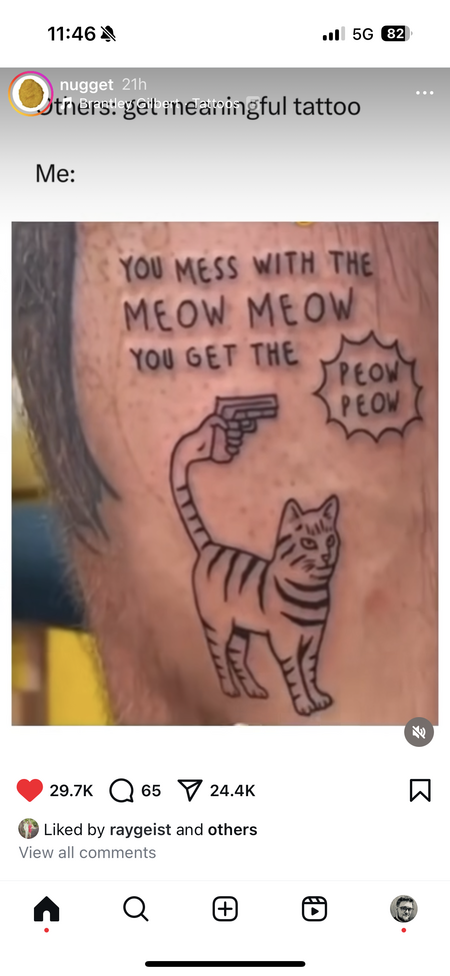 Entry image for Don’t mess with cats. Clicking this image will show a larger photo