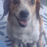 Entry image for Miracle 