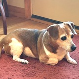 Entry image for Daisy