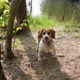 Entry image for Florally