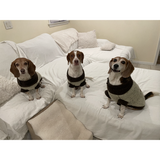 Entry image for Snoopie, Charlie , and Woodie