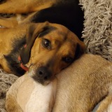 Entry image for Bordeaux