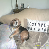 Entry image for Lincoln