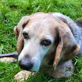 Entry image for Bubzik