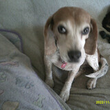 Entry image for Molly