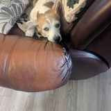 Entry image for Candy 