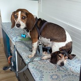 Entry image for Emma sitting