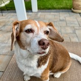 Entry image for April