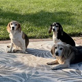 Entry image for Taye