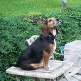 Entry image for Coffee Bean