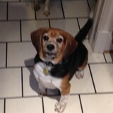 Entry image for Finn Wilbur