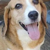 Entry image for Bella