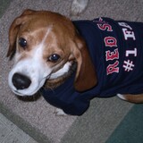 Entry image for Baxter