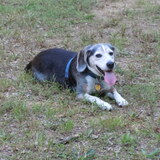 Entry image for Tris 