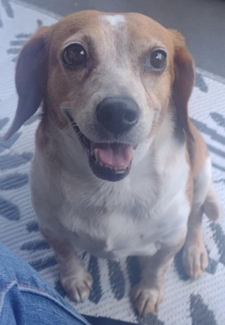 Entry image for Miracle . Clicking this image will show a larger photo