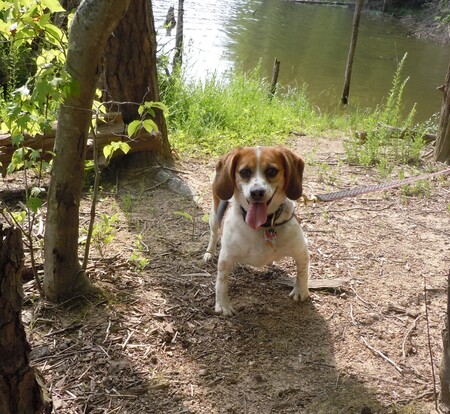 Entry image for Florally. Clicking this image will show a larger photo