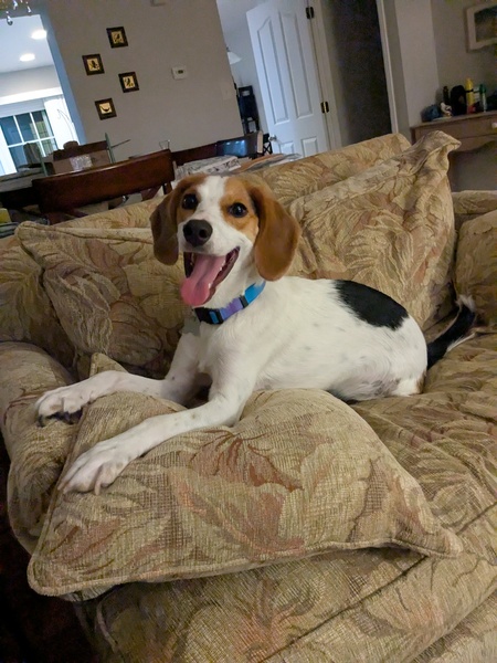 Entry image for Anjali. Clicking this image will show a larger photo