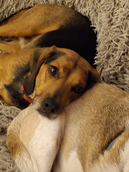 Entry image for Bordeaux. Clicking this image will show a larger photo