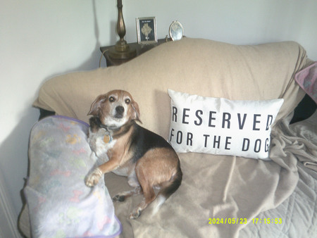 Entry image for Lincoln. Clicking this image will show a larger photo