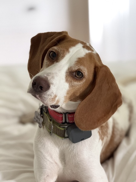 Entry image for Martin. Clicking this image will show a larger photo