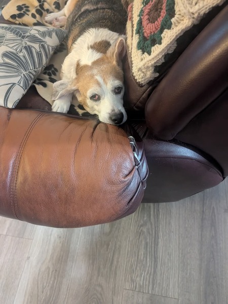 Entry image for Candy . Clicking this image will show a larger photo