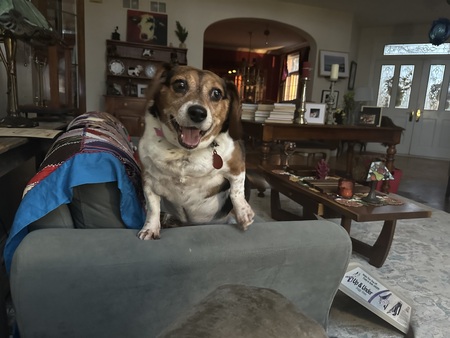 Entry image for midget. Clicking this image will show a larger photo